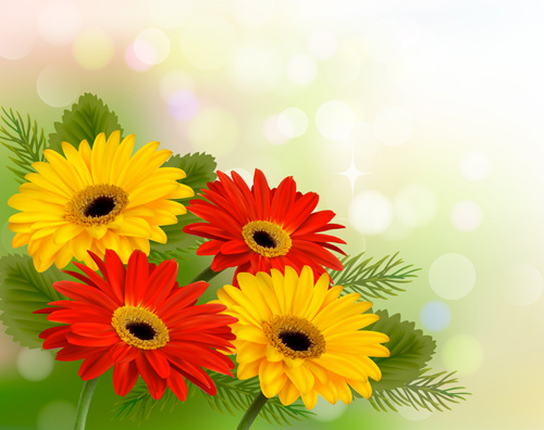 Spring Flowers Images Free Download - Spring flowers Free vector in