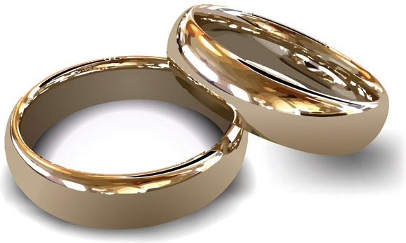 wedding ring vector 2 Preview