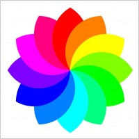 12 football petal flower