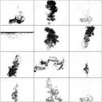 13 smoke & inks brush