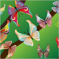 14 Colours butterfly vector