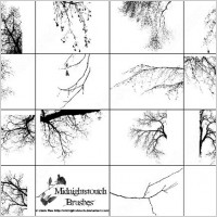 14 photoshop 7 tree border brush