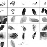27 feather brush