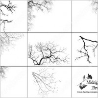 28 photoshop 7 tree brush