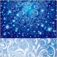 2 beautiful blue pattern vector