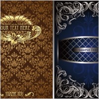 2 gorgeous european classical pattern vector