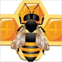 3d bee and honeycomb vector, bee ai, adobe illustrator bee vector, animal illustrator vector ai, 3d illustrator vector