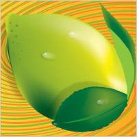 3D Lemon Vector
