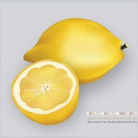 3D Lemons Fruit Vector
