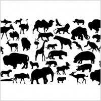 

								41 Animal Vectors							