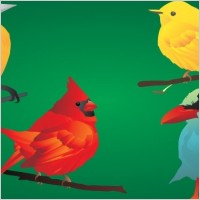  4 beautiful & detailed birds!
