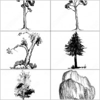 6 hi-res doodled trees  brush