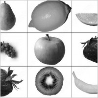 9 fruit brush