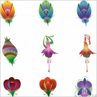 9 Illustrated Vector Flowers