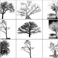 9 tree brush