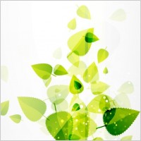 Abstract Green Leaves Vector Background