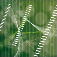Abstract Green Line Vector Backgrou