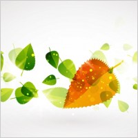 Abstract Green Pattern Vector Background