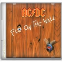 ACDC Fly on the wall
