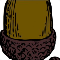 Acorn clip art