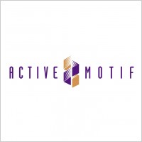 Active Motif