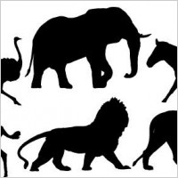 African animals