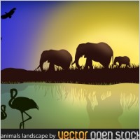 African Landscape with animals