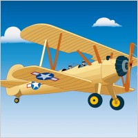 Airplane Freedom Flight