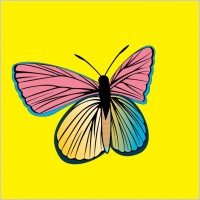 AM Butterfly