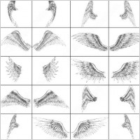 angel wings brush