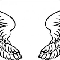 Free Wings Clipart