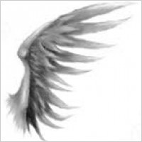 angelic wings brush