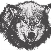 Angry Animal Face Vector