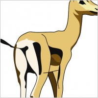Animal 14