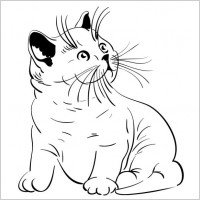 animal cat 05 vector