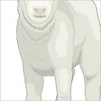 Animal clip art