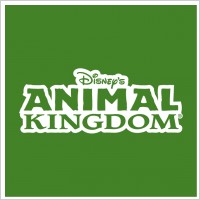 animal kingdom