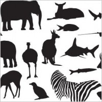 Animal silhouettes
