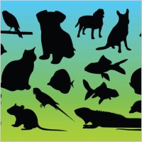 Animal Silhouettes Vectors