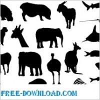 Animal Vectors