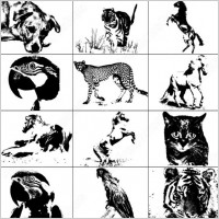 animals free brush