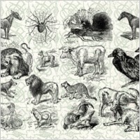 Animals Vol. I