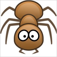 Ant