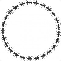 ant border circle