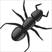 Download Animal Pictures on Ants Cartoon Free Vector For Free Download  About 8 Files