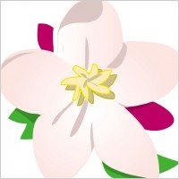 Apple Blossom clip art