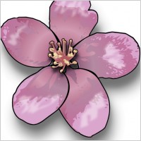 Apple Blossom clip art