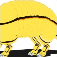 Armadillo 1