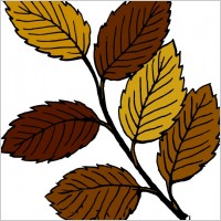 Autumn Leaves On Branch clip art