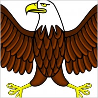 Bald Eagle clip art